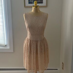 Ann Taylor Loft Elegant Cream Peach Silver Shimmer Lace Dress